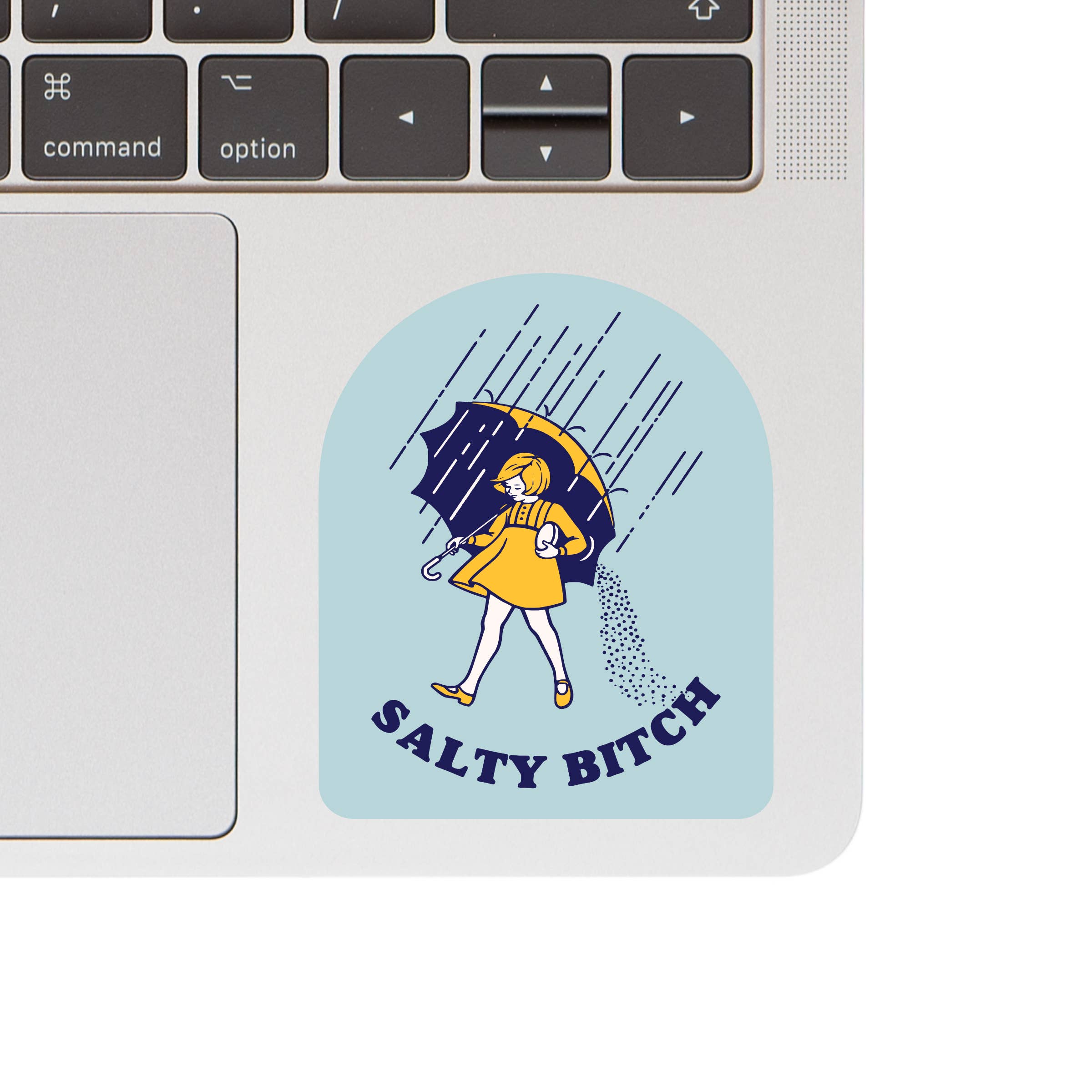 Juju and Moxie - Wholesale Phone & Laptop Stickers - Salty Bitch Vinyl Sticker1