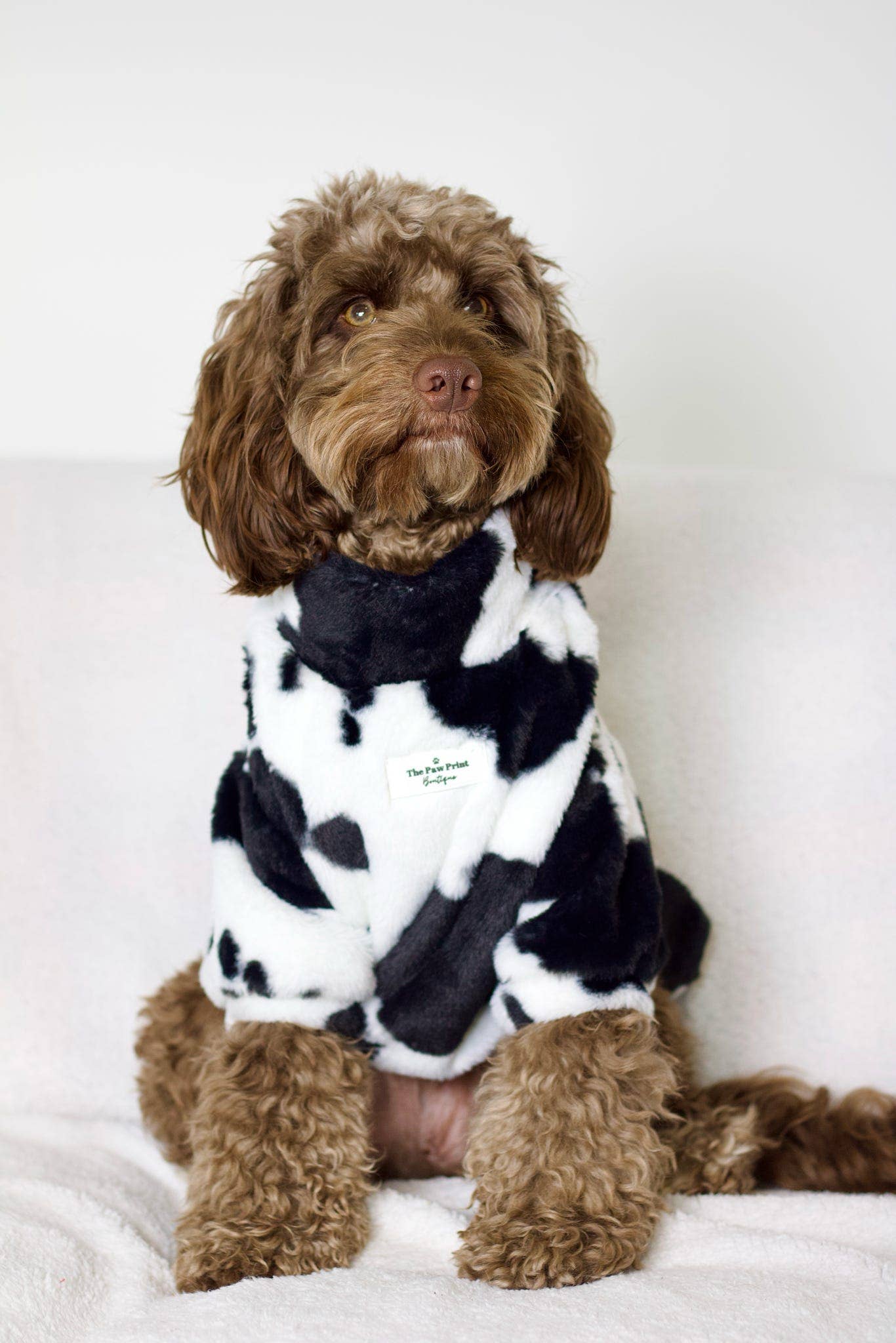 The Paw Print Boutique - Wholesale Pet Coat - Dog - The Cow Print Fluffy & Fabulous Fleece15