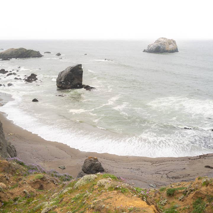 Tidal for wholesale by Tommy's Print Shop