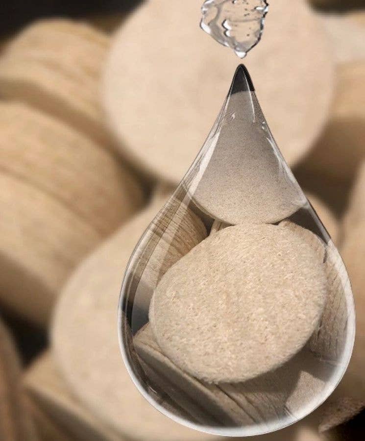 VIAI Beauty - Venta al por mayor Esponja de lufa - Almohadillas de lufa natural 5 unidades4