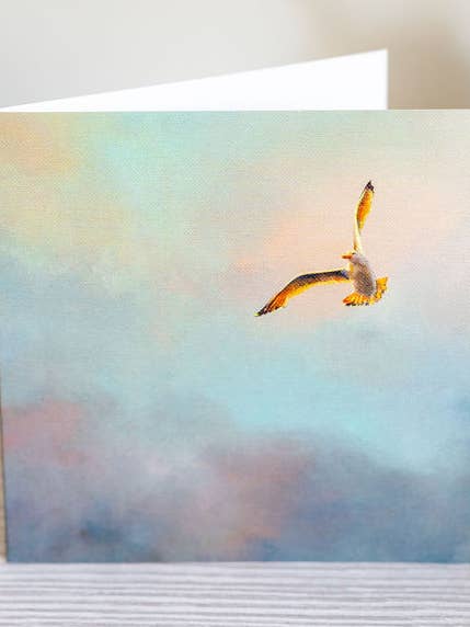 Seagull Greetings Card "Prevail" - Luxury Textured Cardstock for wholesale by Portrait of Clouds