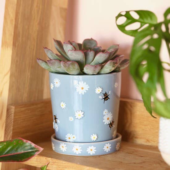 Lisa Angel – wholesale Plant pot – Blue Floral Bee Planter and Tray2