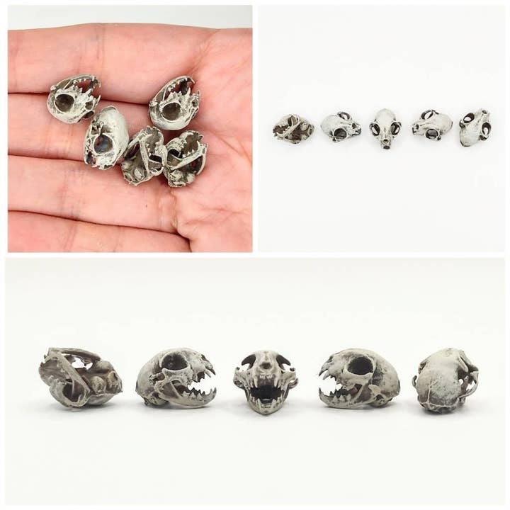 The Scale Grail - Wholesale Decorative Figurine - Cat Skull Replica - 1:12 6 inch scale feline skull for diorama, miniature horror scenes, dollhouse and action figure photography (set of 5)1