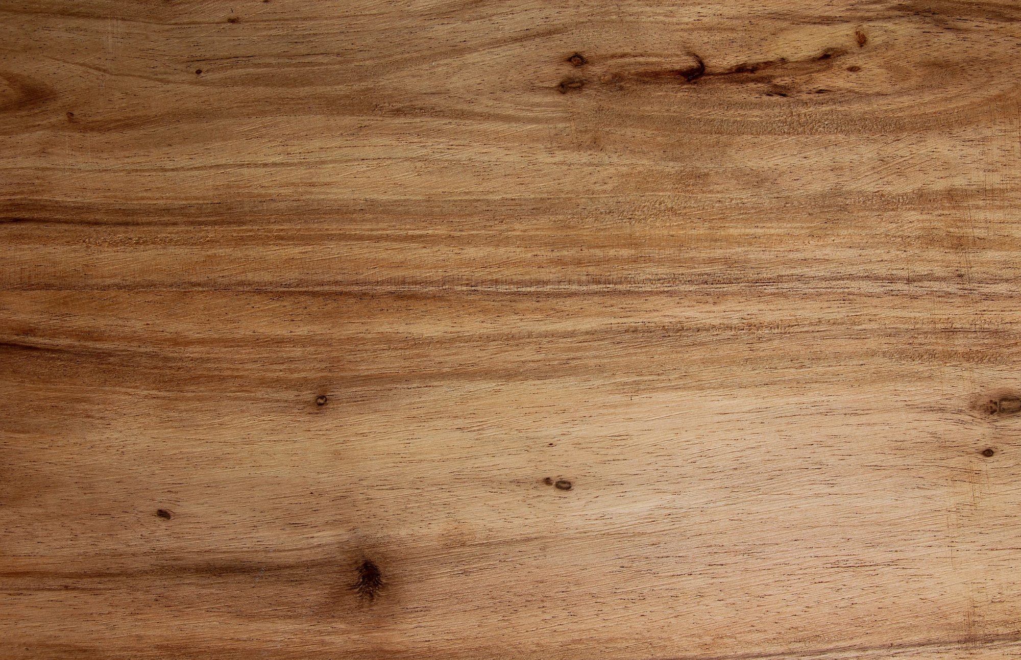 TAYLOR GRAY - Wholesale Serving Tray - 11x17 CHARCUTERIE MAP insert set of 1010