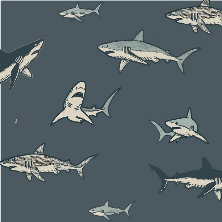 Conjuntos a Juego (Largo) - Ataque de Tiburón para venta al por mayor de Willow+Co