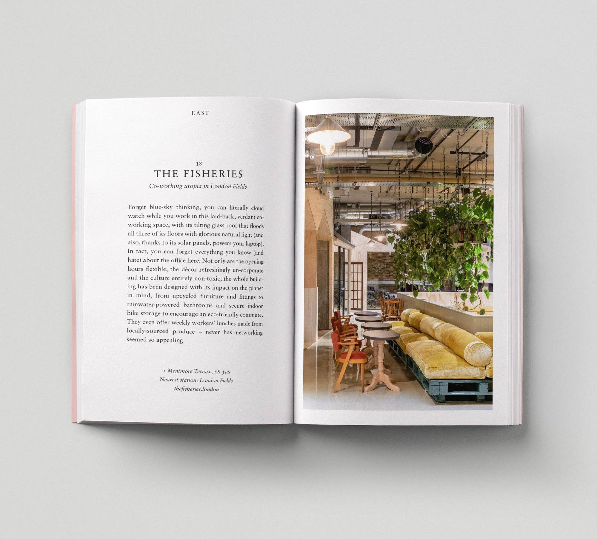 Hoxton Mini Press - Wholesale Travel - An Opinionated Guide to Eco London1