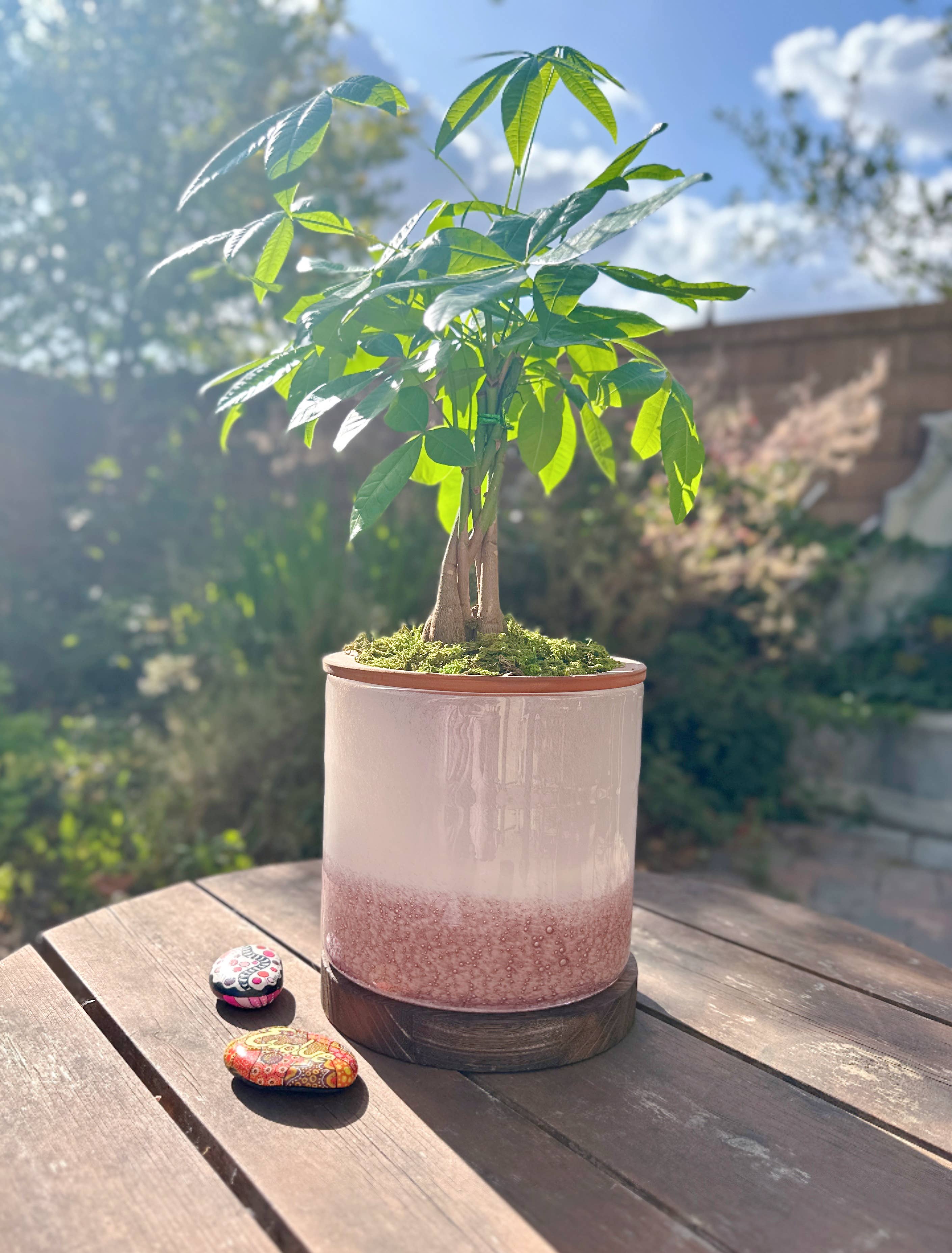 ApricotMint - Wholesale Plant Pot - 8" Art Glass LED Self Watering Planter (USB Plug-in)8