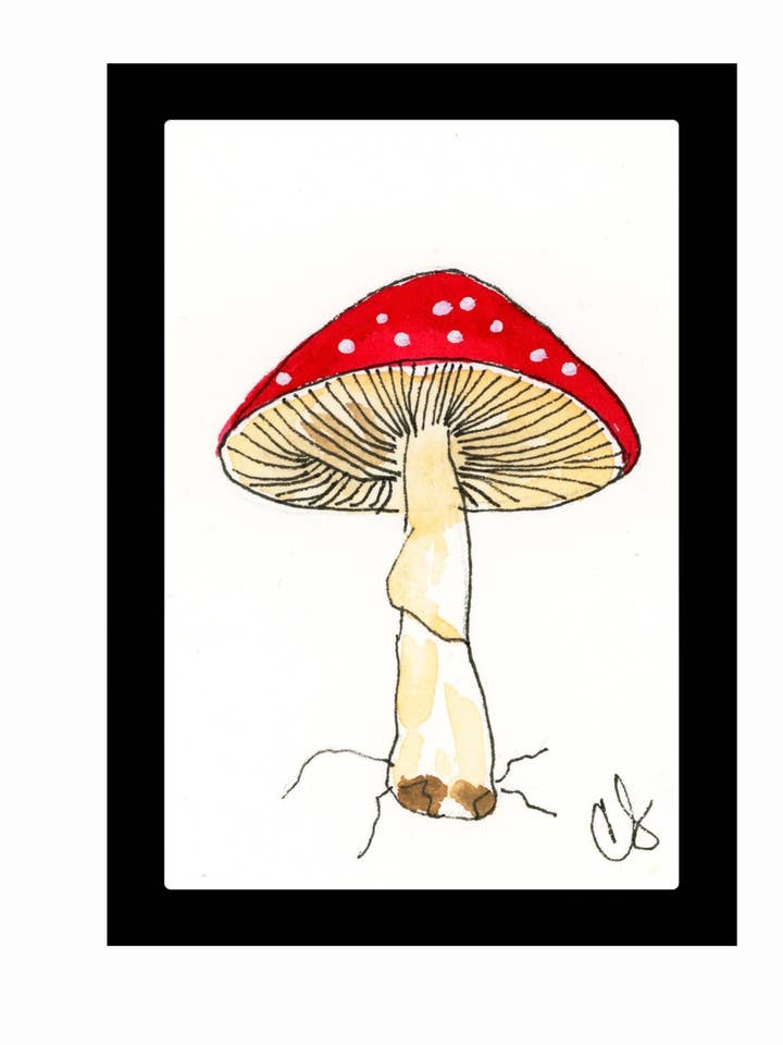 Mushroom Framed Watercolor Print 3x4" (Copy) for wholesale by Cathy Stratton Art