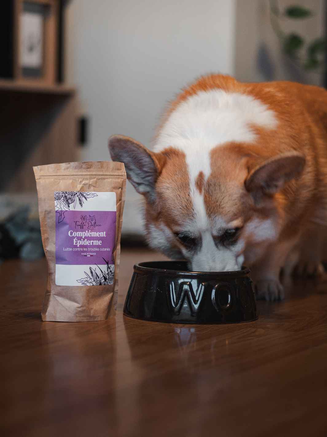 Truffe Délice - Wholesale Pet Supplement - Dog - Dog fur supplement5