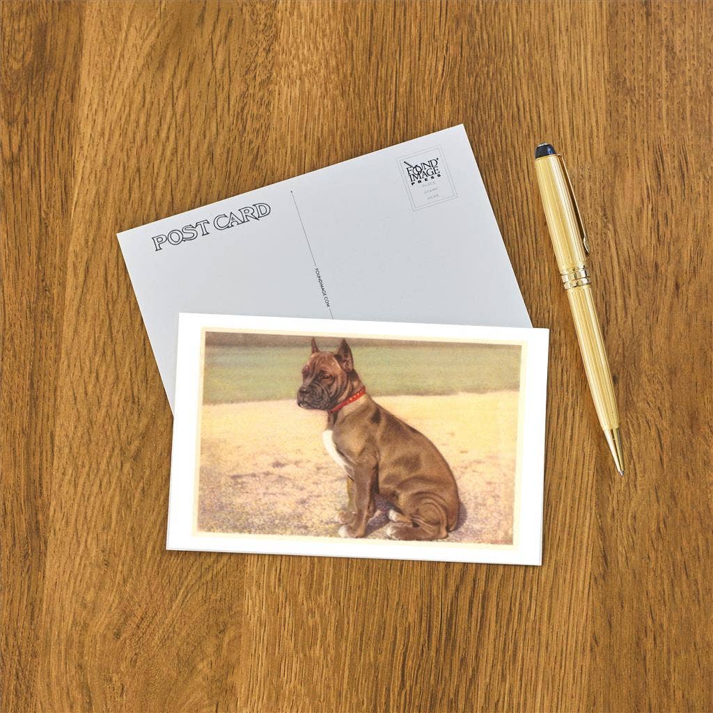 Found Image Press – wholesale Postcard – Postcard DG-12 Boxer1