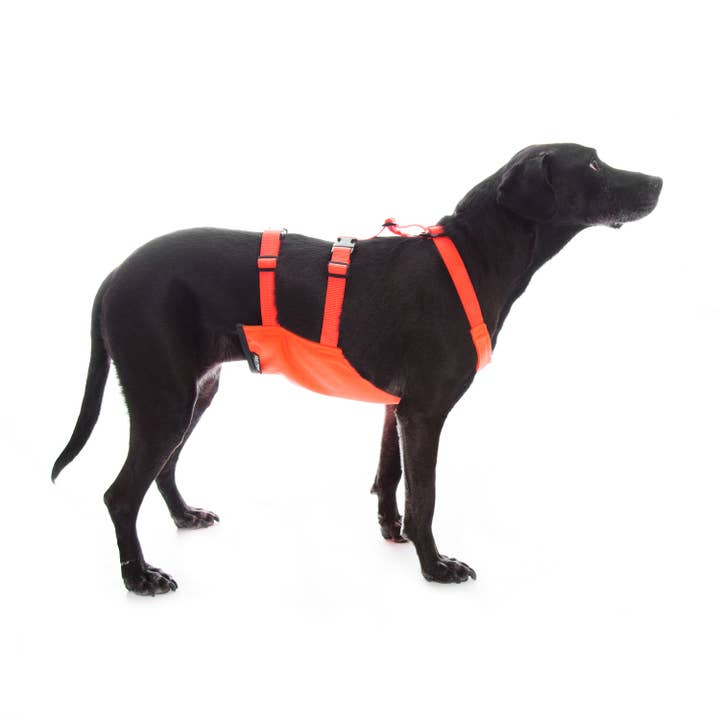 Mendota Pet – Großhandel Haustierjacke – Hund – Unterfahrschutz für Hunde, Brust- und Bauchschutz