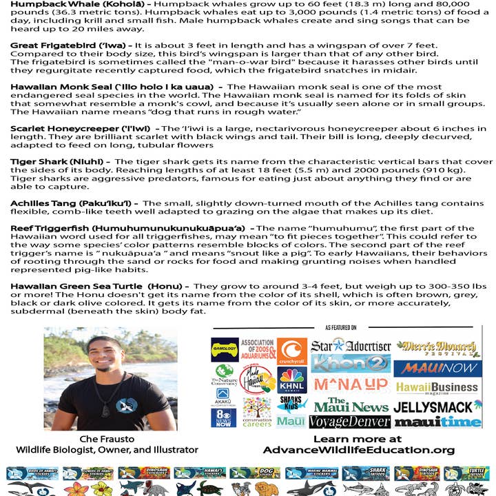 Advance Wildlife Education LLC - Vente Tatouages temporaires - Grande feuille de tatouage hawaïen (noire)1