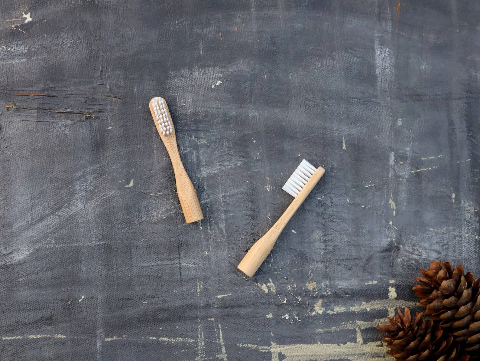 Plantish - Wholesale Toothbrush - Refillable Bamboo Toothbrush (Canada only)2