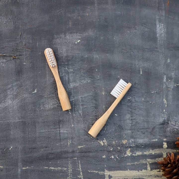 Plantish - Wholesale Toothbrush - Refillable Bamboo Toothbrush (Canada only)2