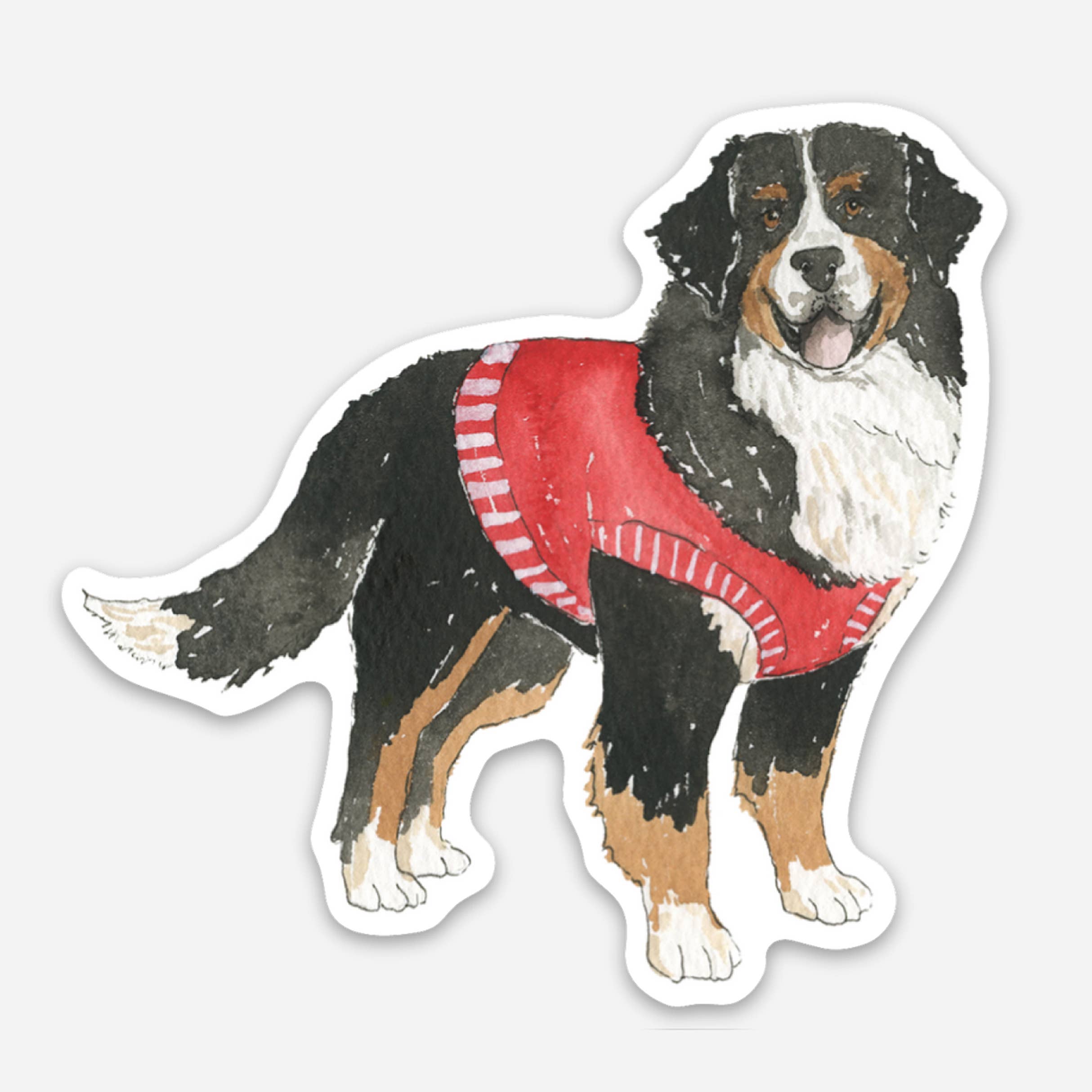 KelseyMDesigns - Wholesale Sticker - Bernese Mountain Dog Sticker - 3"x3" Sweater Dog Sticker  0