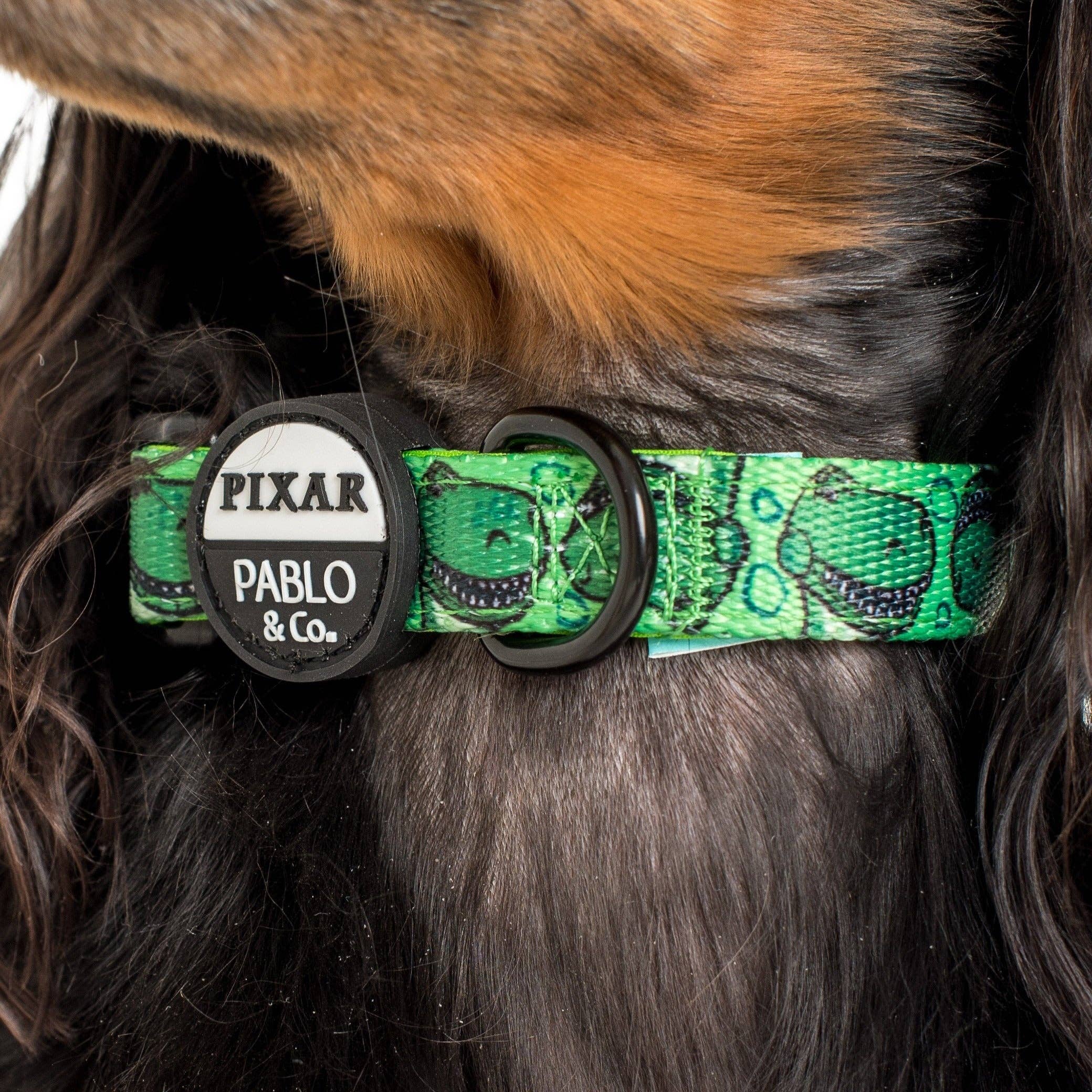 Pablo & Co. Boutique - Wholesale Pet Collar - Dog - Toy Story - Rex: Dog Collar