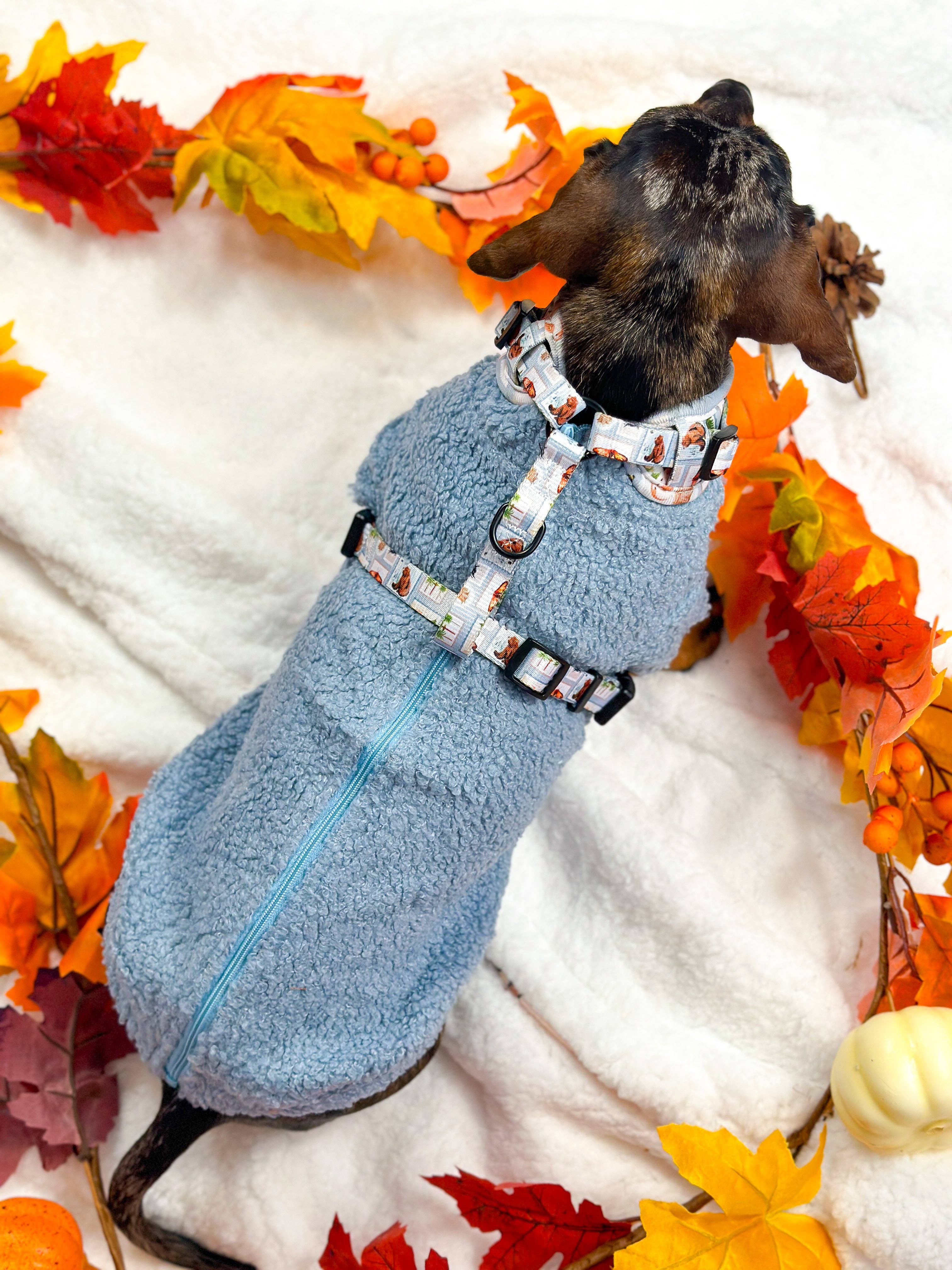 The Paw Print Boutique – wholesale Pet jumper – Dog – Teddy Fleece - Dusky Blue10