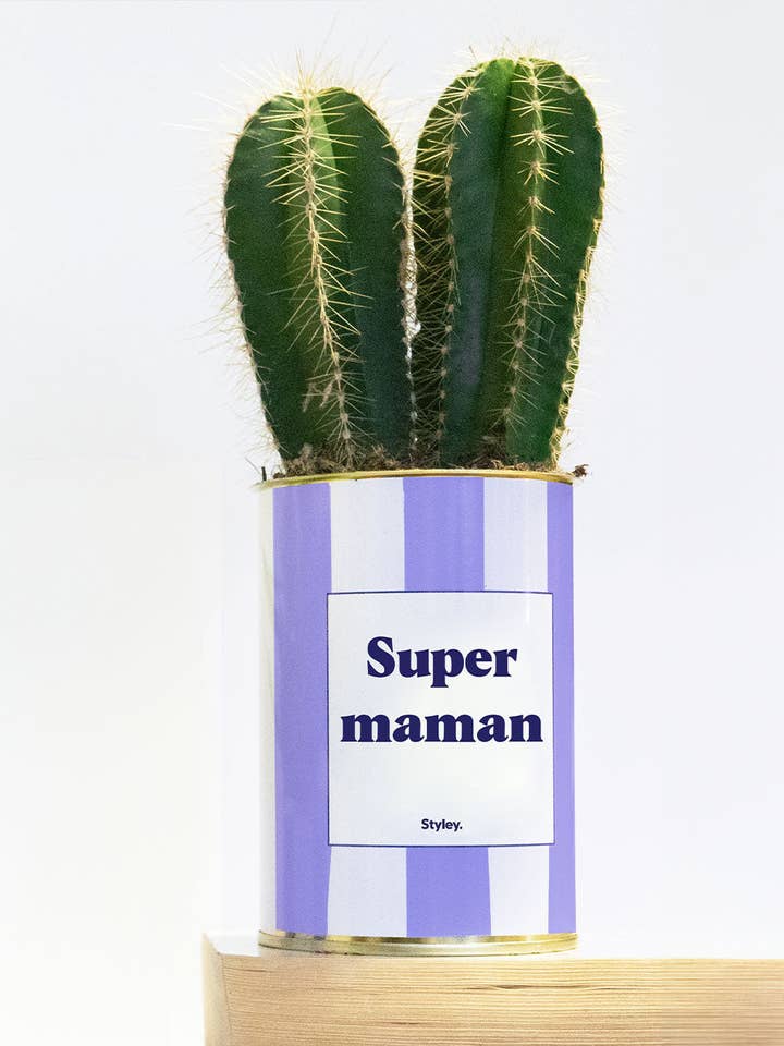 Supermamma - Kaktus för wholesale av Styley