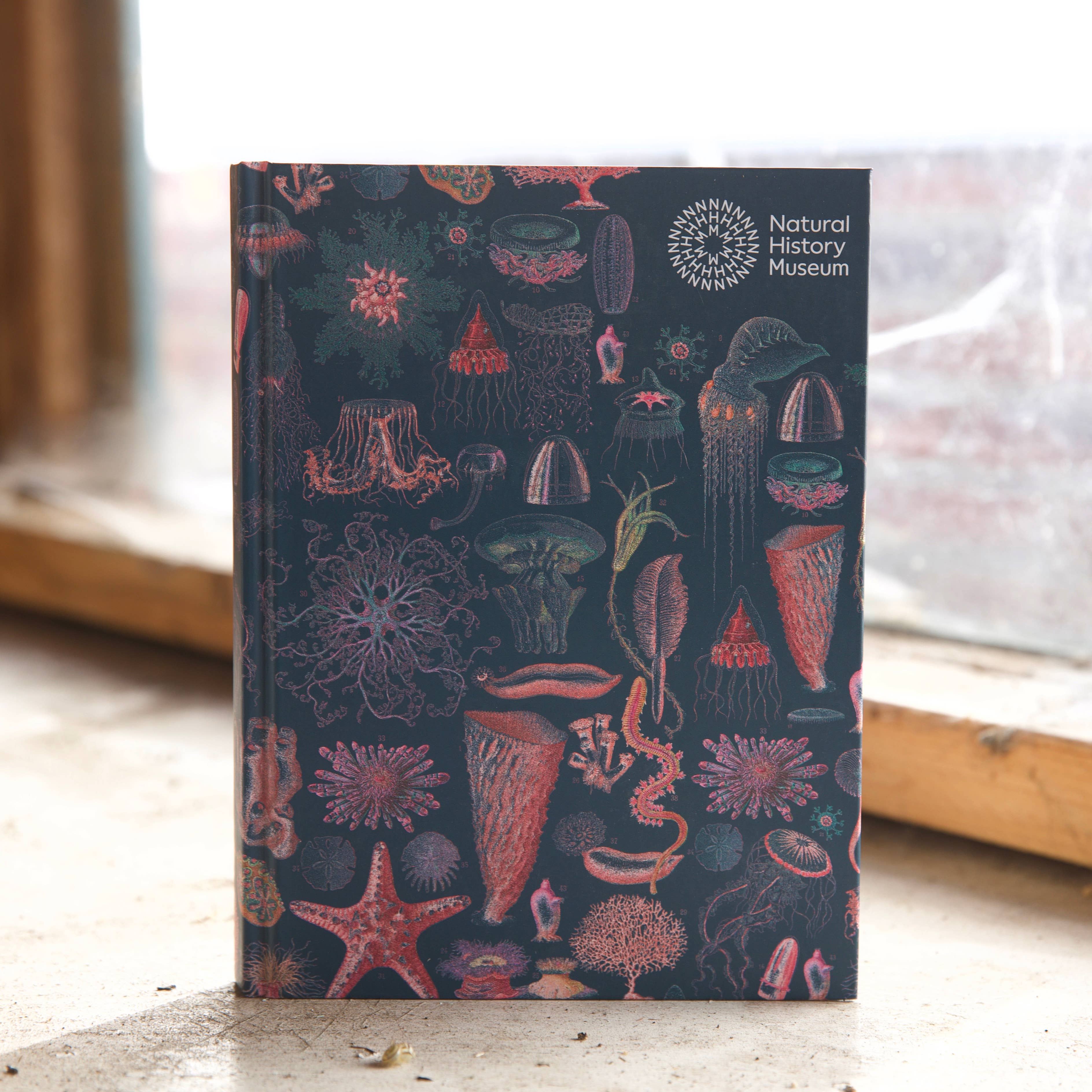 West Design Products – wholesale Sketchbook/sketchpad – Natural History Museum A5 Underwater Hardback Sketchbook6