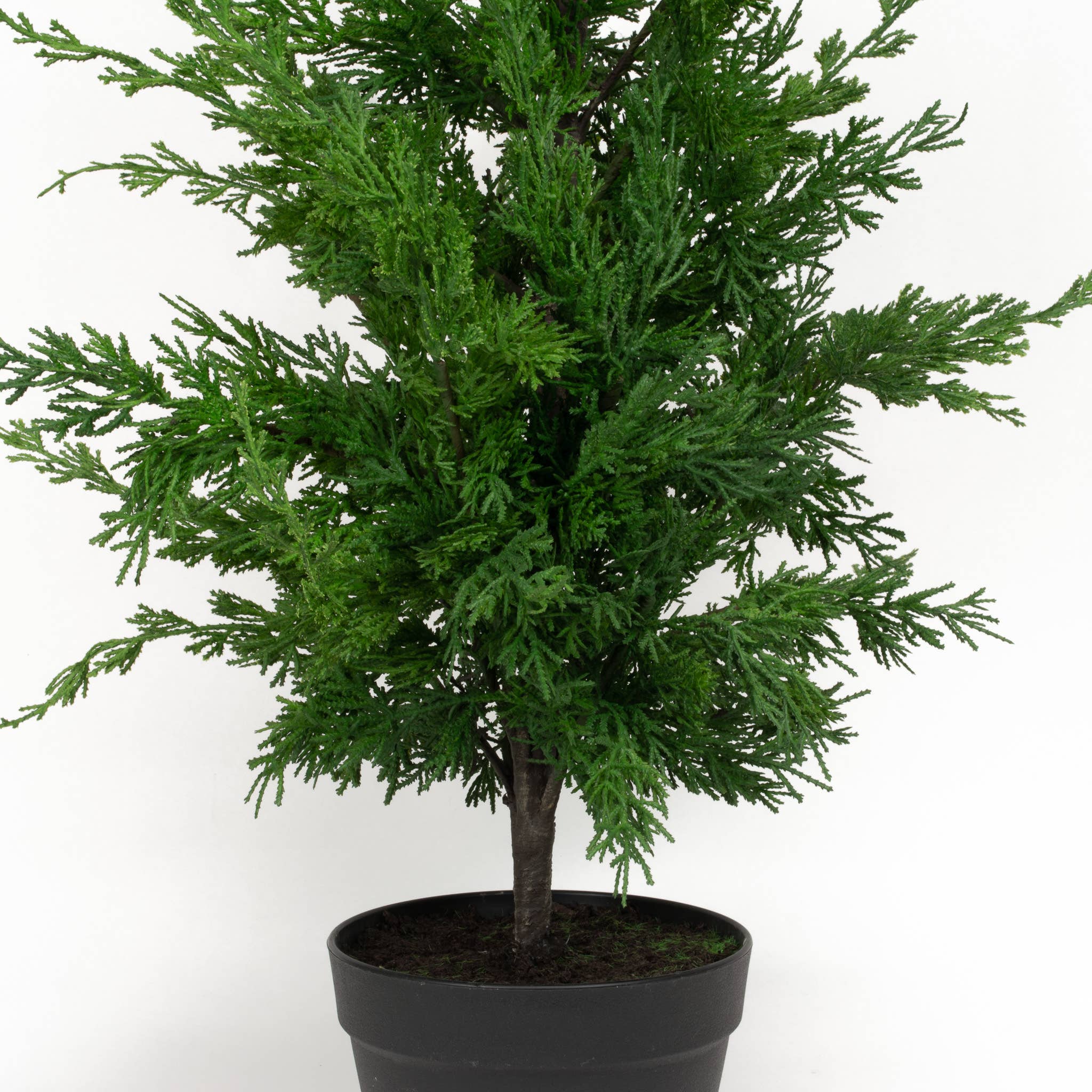 Mills Floral Company - Vente Plantes artificielles - Leyland Cypress - 36 pouces1