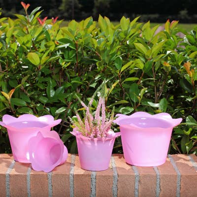 B&P Italia - Wholesale Plant Pot - Colourful cheap pot covers6