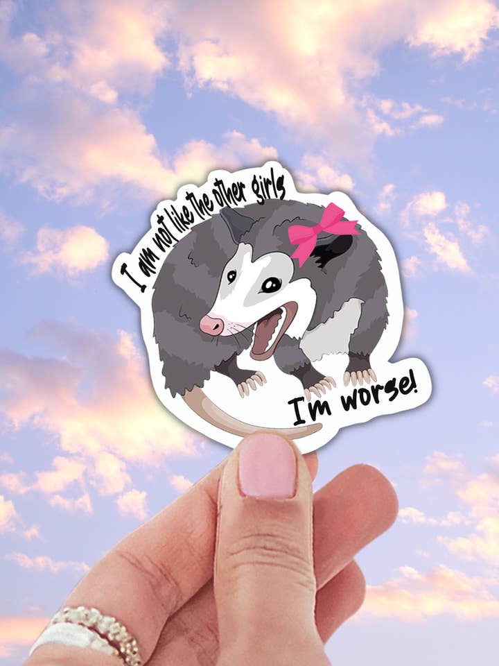 I'm not like the other girls funny sticker for wholesale by Lalatina Shop