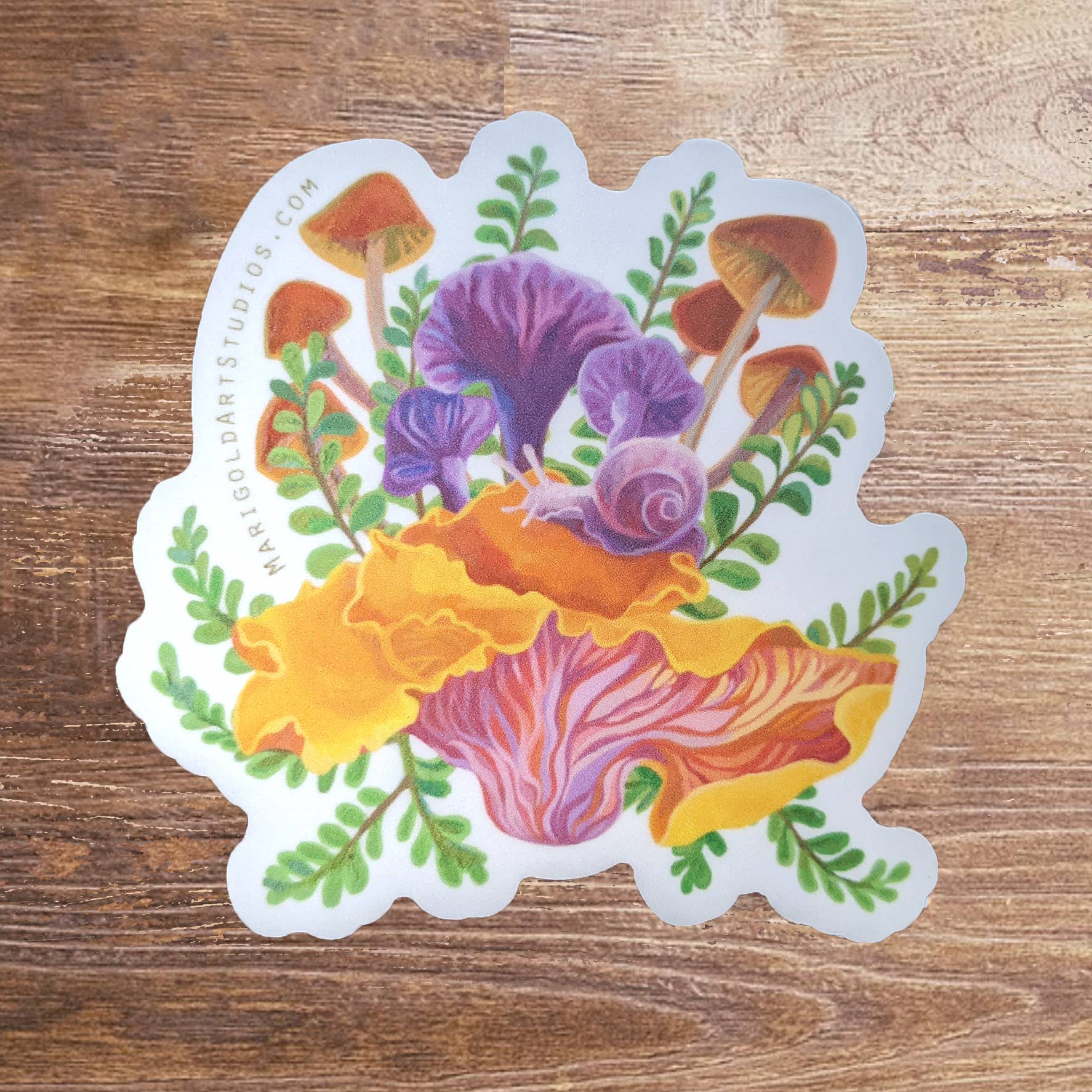 Marigold Art Studios - Wholesale Sticker - Chanterelle Mushroom & Cute Snail Sticker