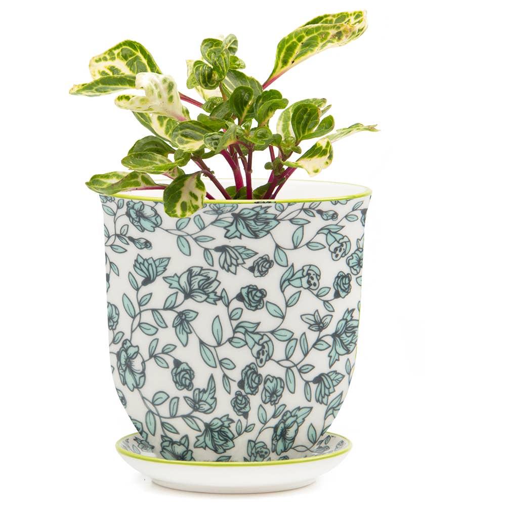 Chive UK – Großhandel Blumentopf – Liberte 3 - Keramik-Blumentopf mit Untersetzer und Abflussloch26