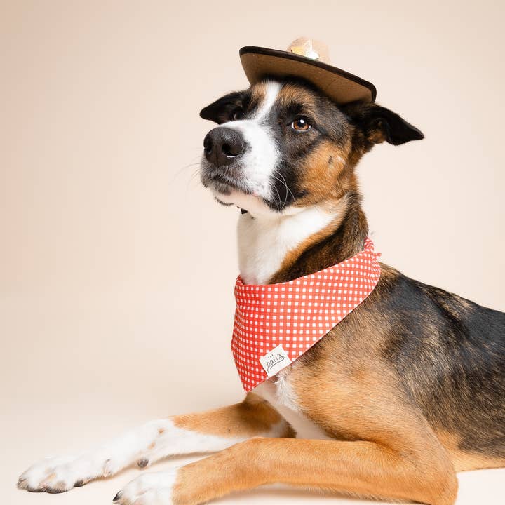 The Paws - Wholesale Pet Bandana - Dog - Red Gingham Dog Bandana