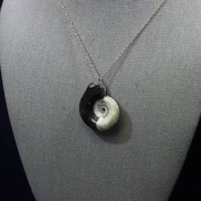Black Ammonite Pendant - Sold By the Piece for wholesale by Cold River Mining