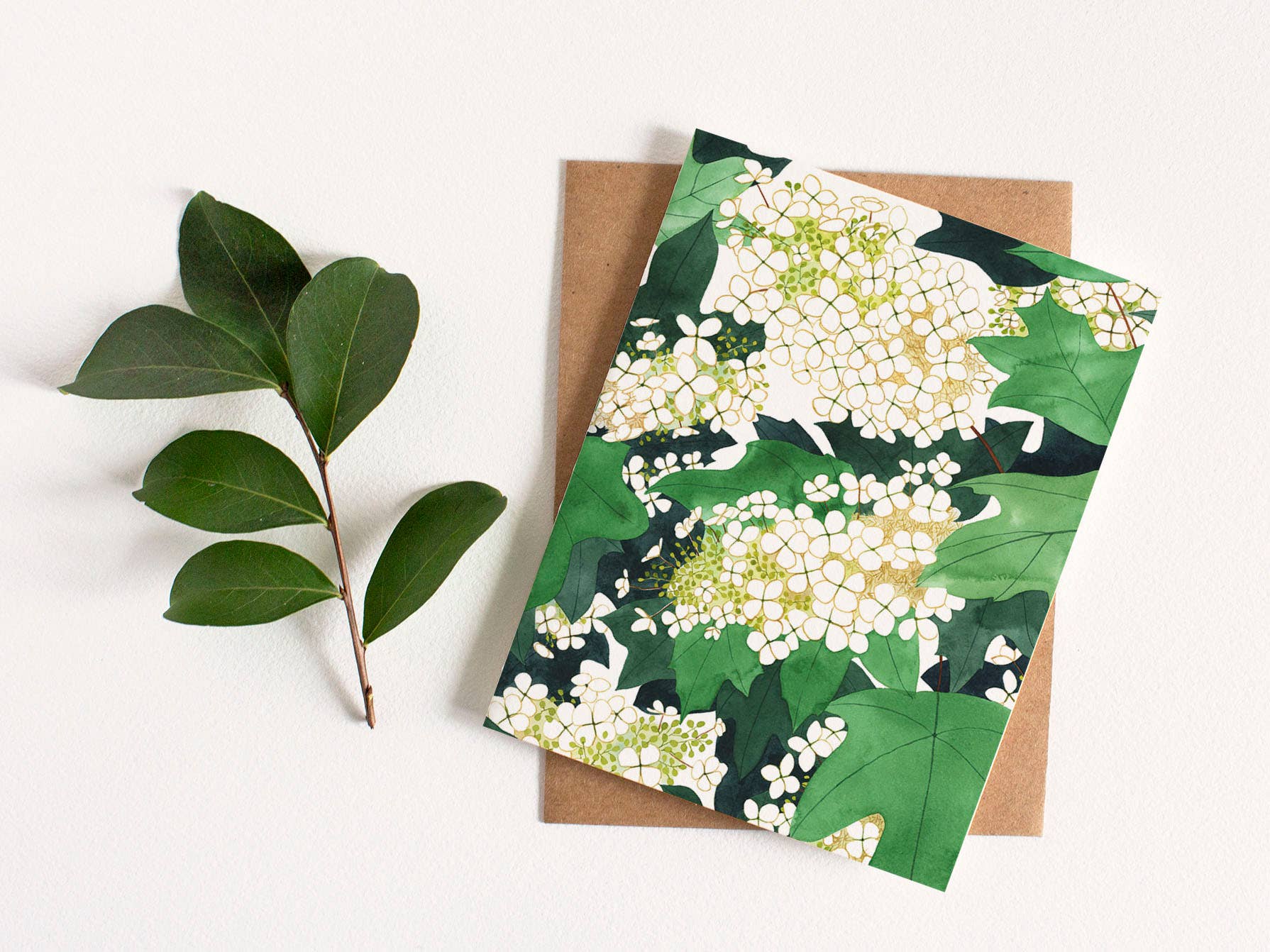 May We Fly - Wholesale Stationery/Notecard Set - Oakleaf Hydrangea Greeting Card - Box Set of Eight3