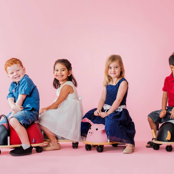 DAM - Wholesale Bike/Scooter - Kids - Wheely Bug - Ride-on Toy - Ladybug2