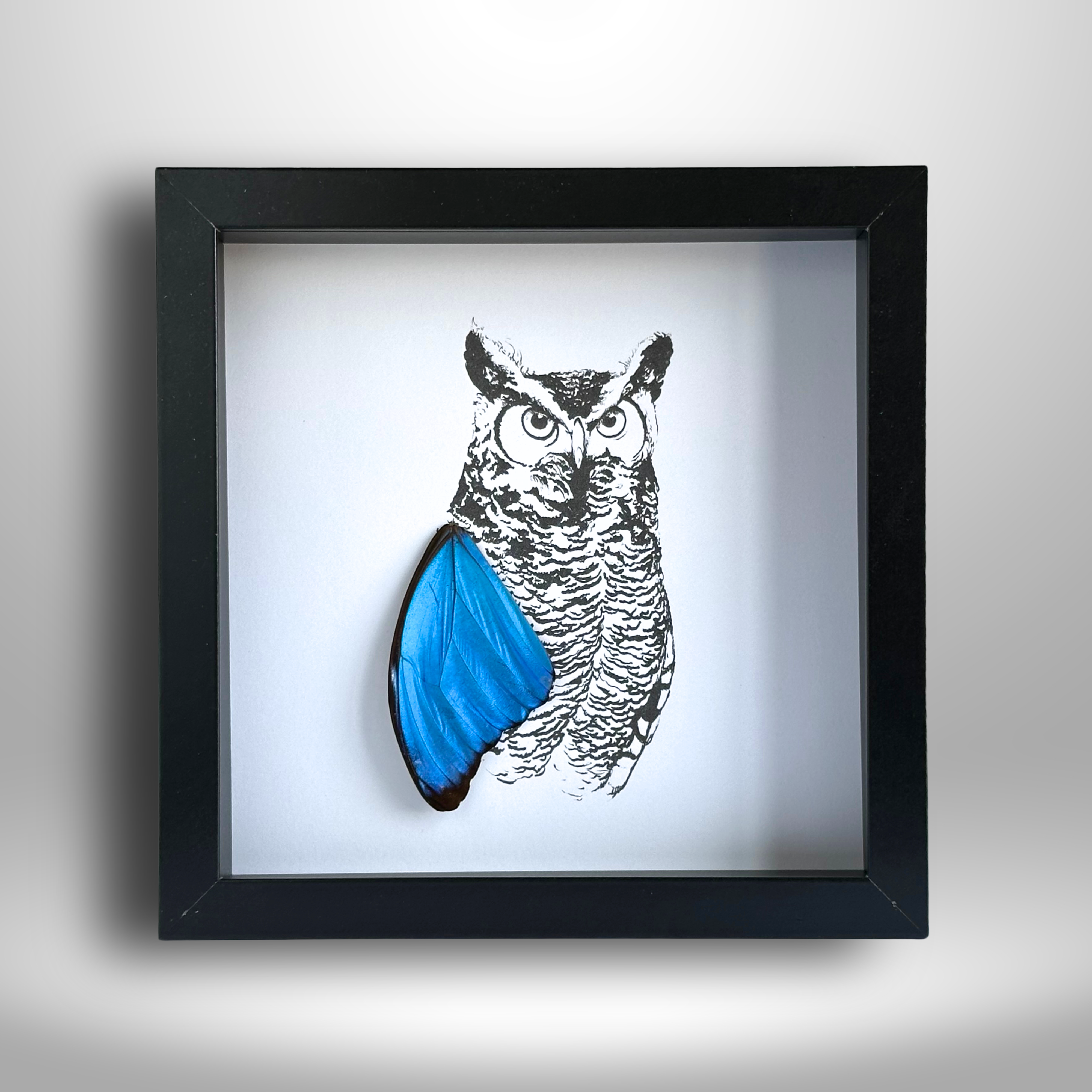 Isms - Wholesale Wall Accent - Realistic Horned Owl Framed Art with Real Butterfly Wings3