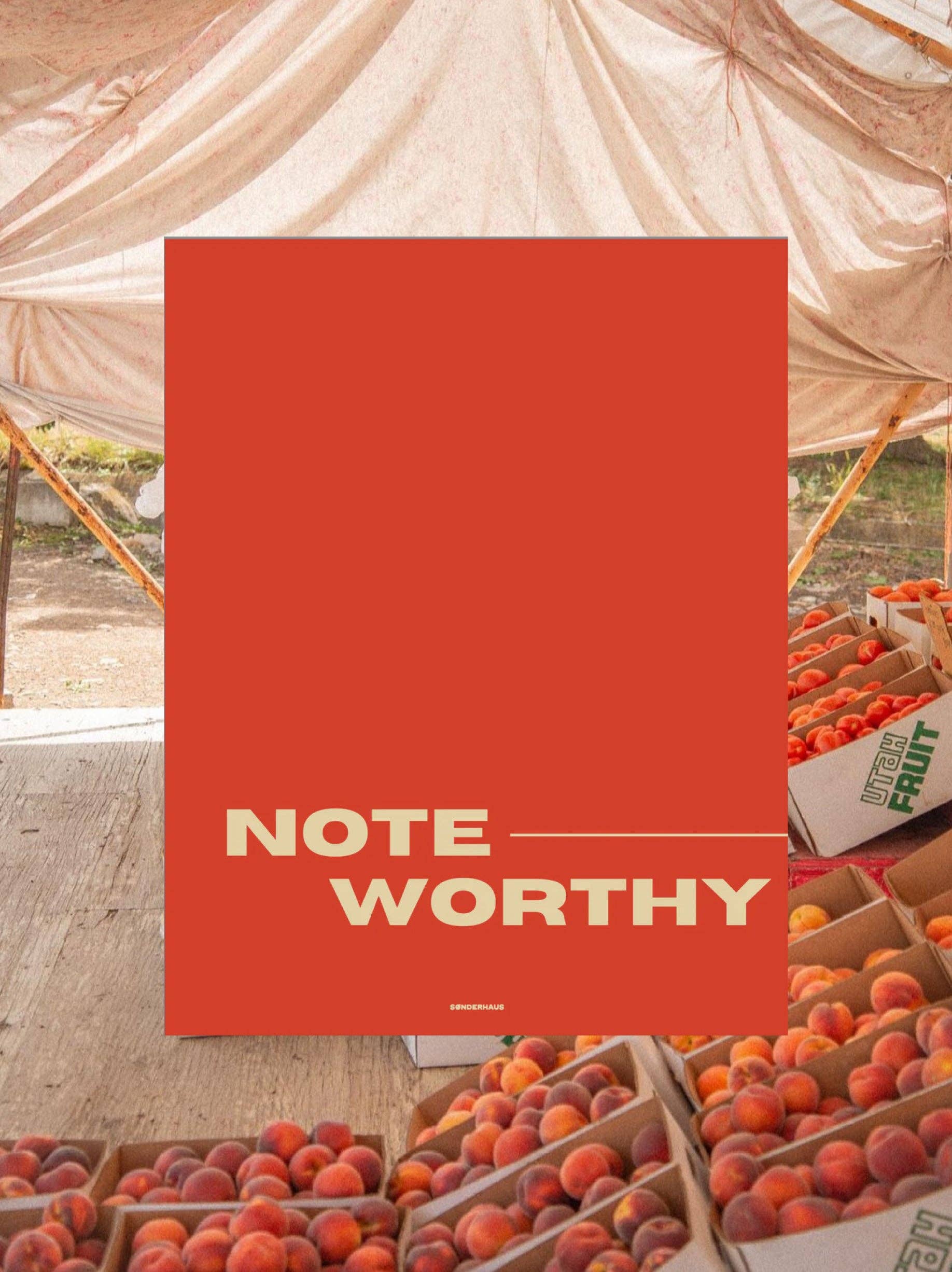 Sonderhaus - Wholesale Notepad - The Noteworthy Pad8
