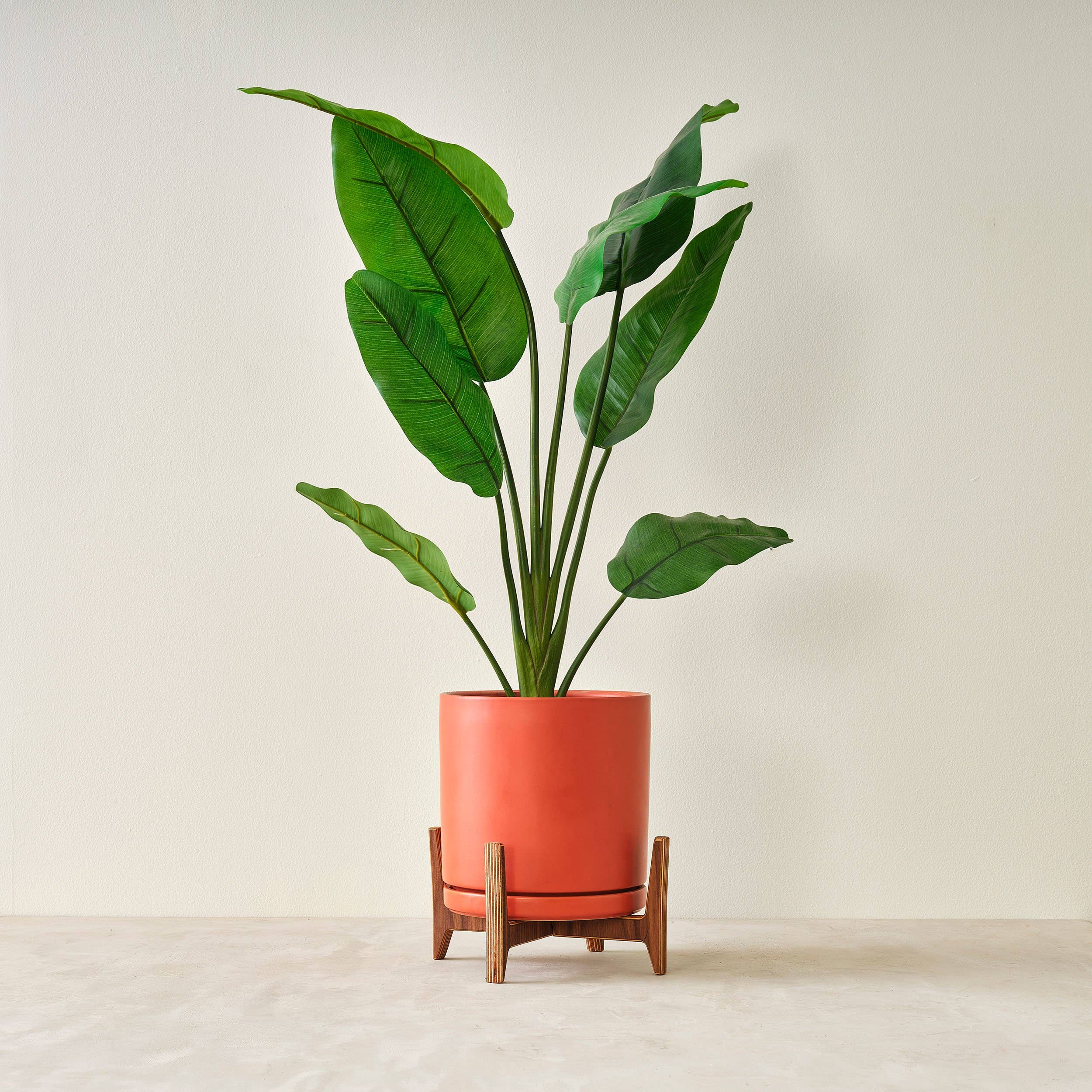 Relic Modern™ | Furniture & Objects - Wholesale Plant Pot Stand - Minimalist Walnut Plant Stand - (4", 6", 8", 10", 12")12