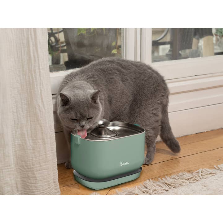 French Bandit - Wholesale Pet Bowl - Cat/Dog - Cordless water fountain for cat2