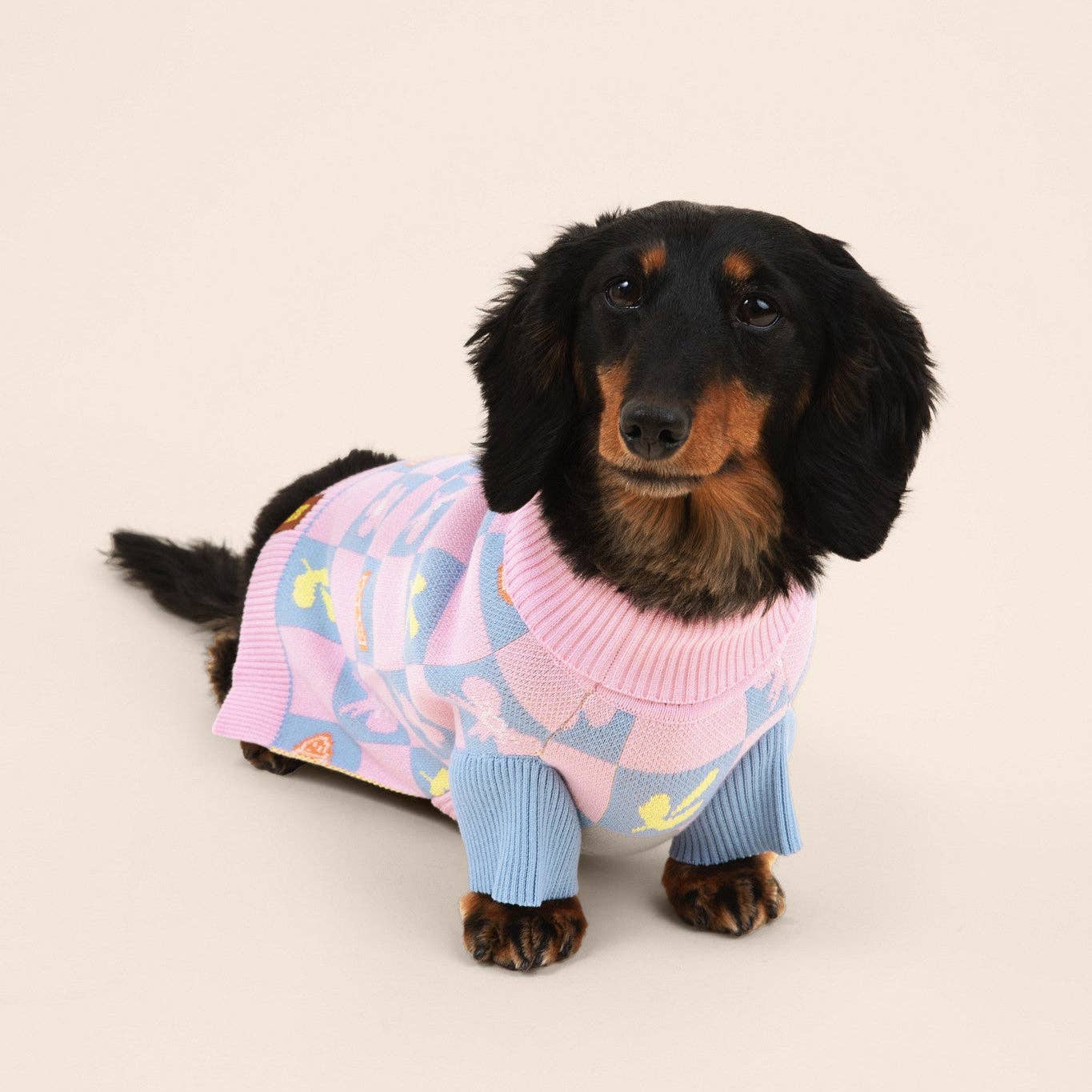 Sunbean - Wholesale Pet Sweater - Dog - Shelly Roll Neck Knitted Dog Sweater