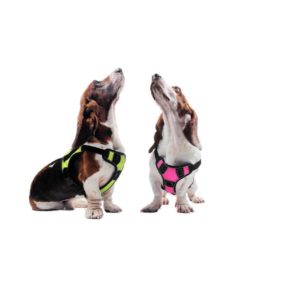 Dogline - Wholesale Pet Harness - Dog - Dogline Quest Multi-Purpose Dog Harness15