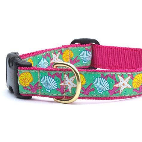 Reef hund halsband för wholesale av Up Country, Inc.