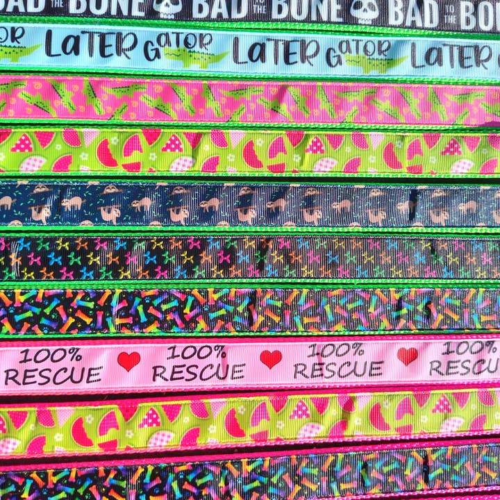 Doot's Pet - Collars For A Cause - Wholesale Pet Collar - Dog - Doot's Pet Mixed Bulk Dog Collars 15 ct + Free Samples 4