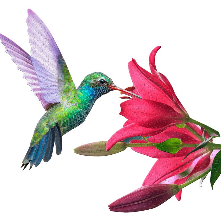 PUZZLE DISPLAY - Hummingbird 300pc for wholesale by Madd Capp Games & Puzzles