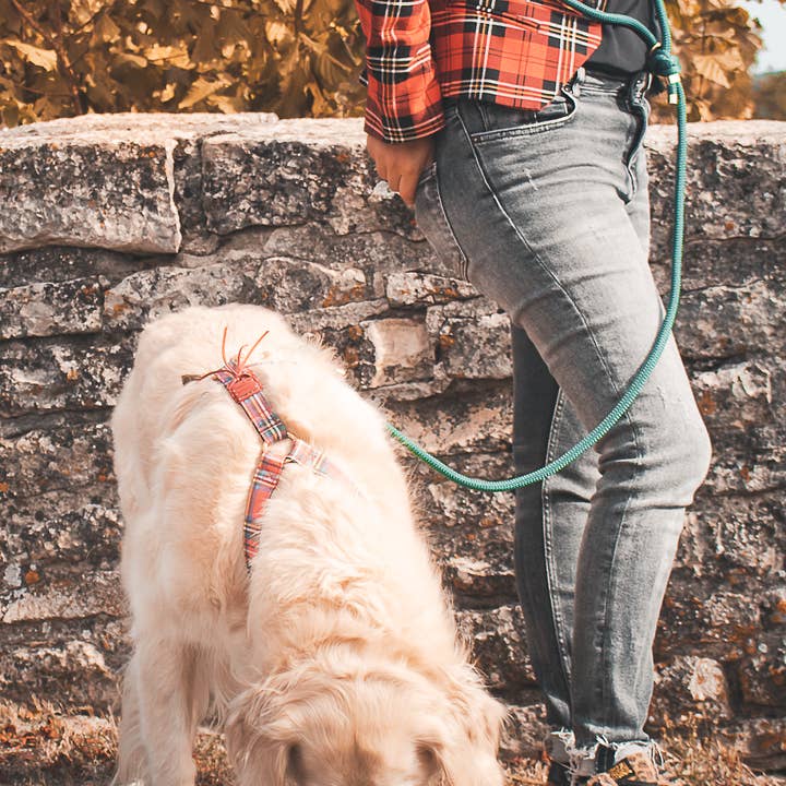 Frimousse Dog - Wholesale Pet Leash - Dog - “Turquoise” handsfree dog shoulder leash