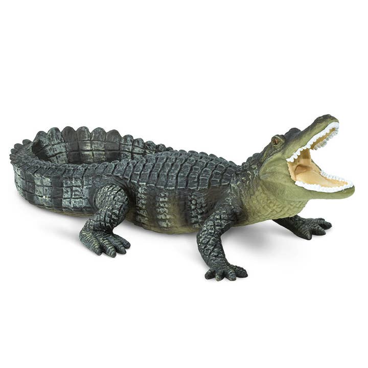 Safari Ltd. - Wholesale Figurine Toy - Kids - Alligator Figurine Toy for Kids3