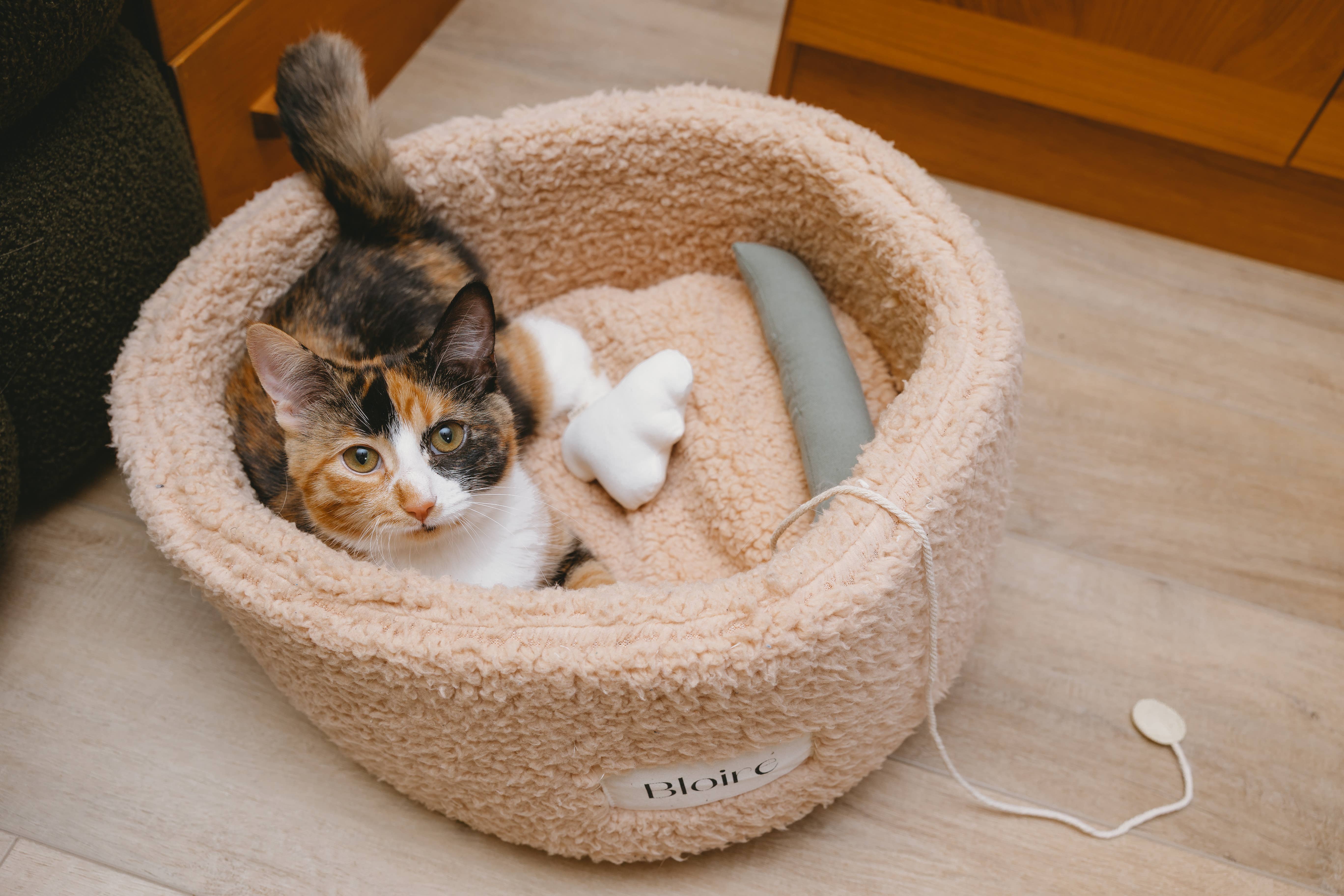 Bloire - Wholesale Pet Toy - Cat - Cat Toy Essential3