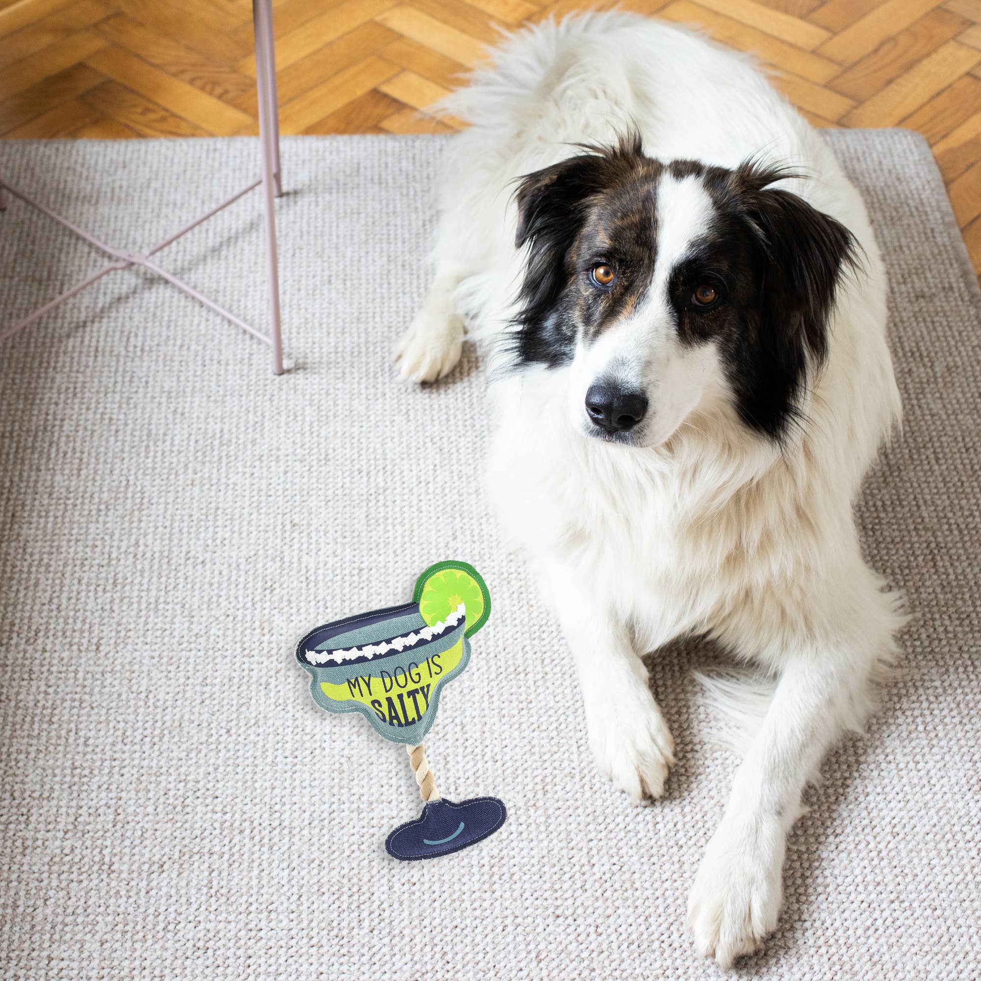 Pavilion - Venta al por mayor Juguete - Gatos y perros - Salado - Juguete para perro de lona de 11" en cuerda1