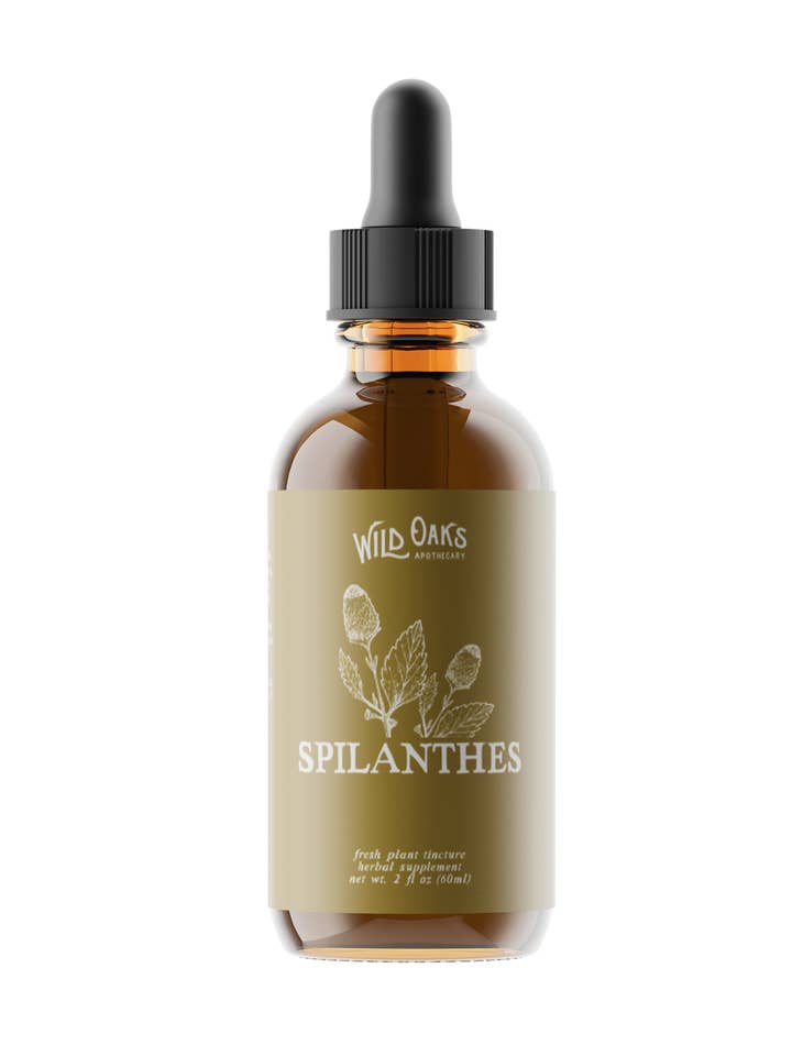 Tintura di Spilanthes per la vendita all'ingrosso da parte di Wild Oaks Apothecary