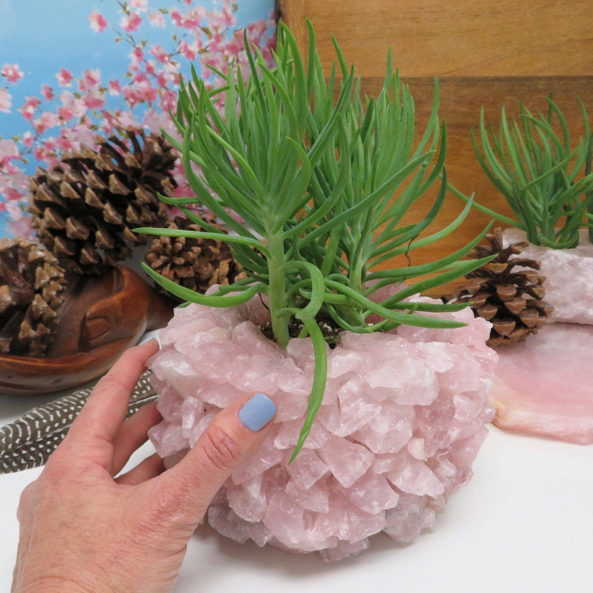 Rock Paradise - Wholesale Plant Pot - Rose Quartz Crystal Planter Pot4