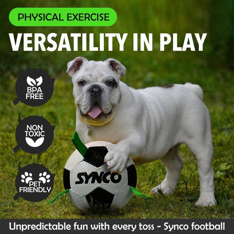 GICO Spielwaren - Vendita all'ingrosso Palla da riporto  - Cani - Palla per cani con maniglie per cani di taglia media e grande #46