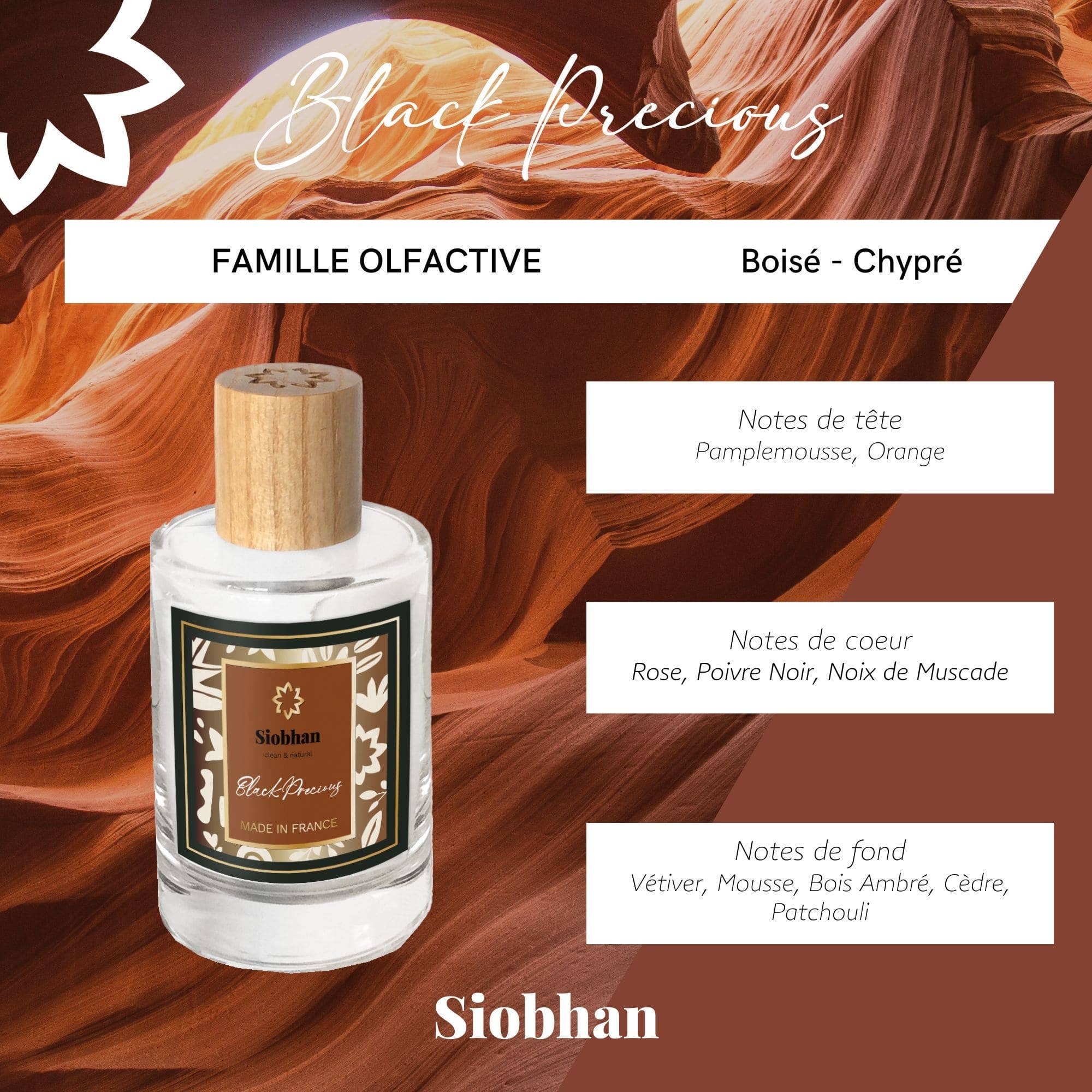 SIOBHAN - Wholesale Perfume/Eau de Toilette - SIOBHAN Black Precious Eau de Toilette 100ml1