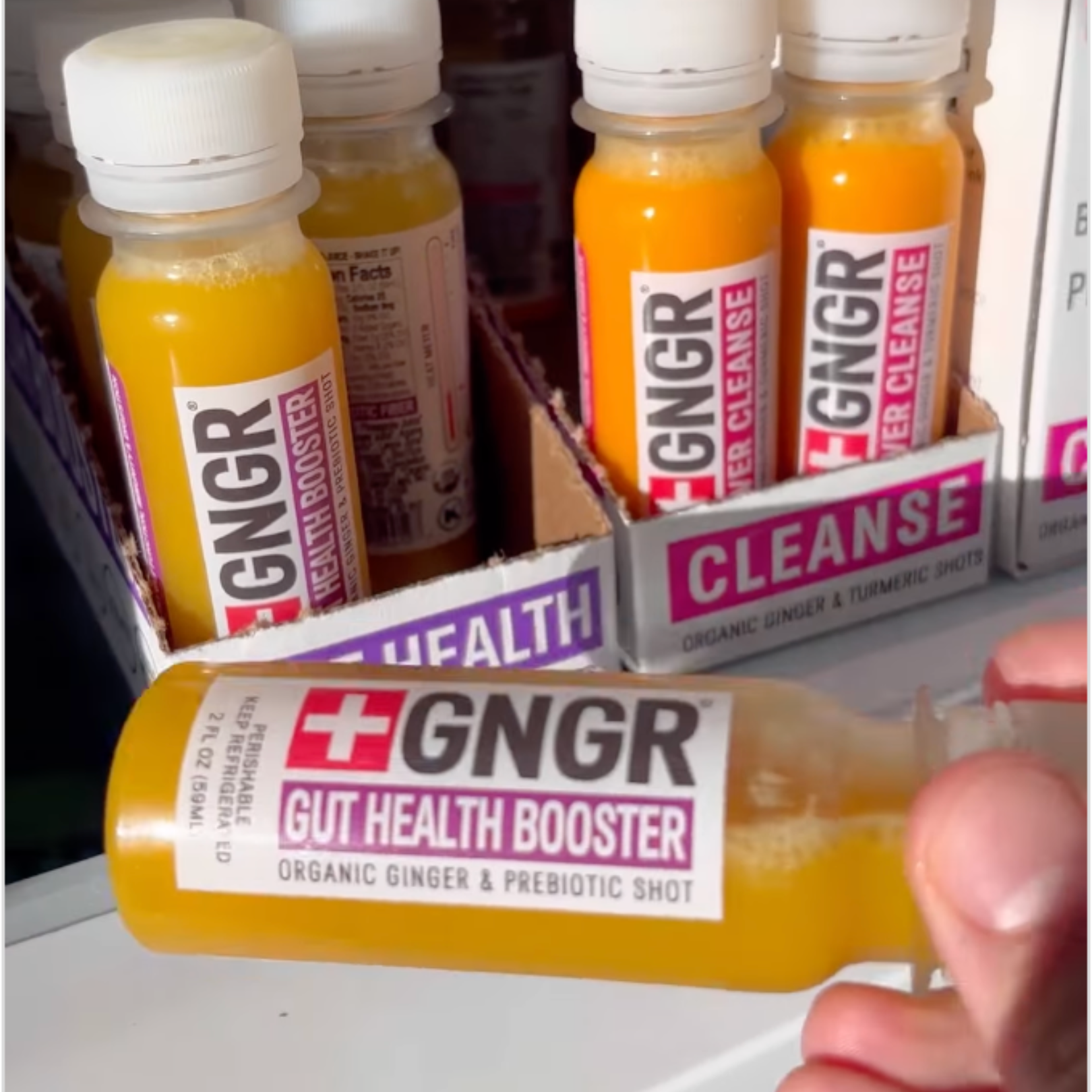 GNGR Labs - Wholesale Wellness Juice/Tonic - Gut Health Booster Shot: Apple Cider Vinegar Digestion Aid11